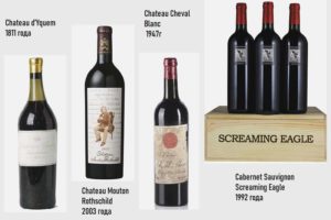 Какое вино самое дорогое в мире: отчего зависит цена